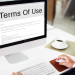 How to use the WS web version