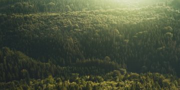 Economic Policies for Environmental Protection: What Works and What Doesn’t?