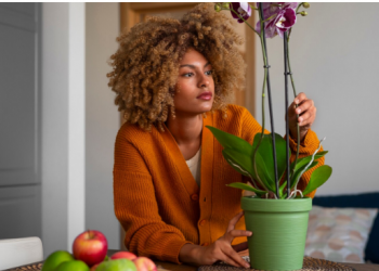 Benefits of Taking Up Home Gardening as a Hobby