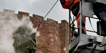 Unlocking the Power of the DOFF Steam Cleaning System