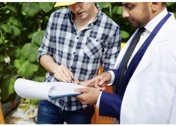 Why Hiring a Licensed Patio Contractor Matters