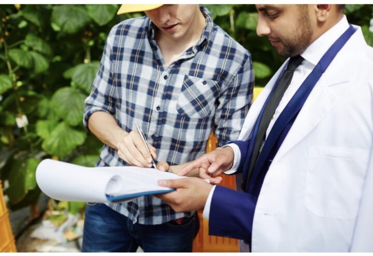 Why Hiring a Licensed Patio Contractor Matters