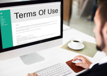 How to use the WS web version